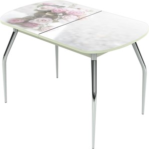 Обеденный раздвижной стол Ривьера исп.1 ноги хром №5 Фотопечать (Цветы №47) в Стерлитамаке