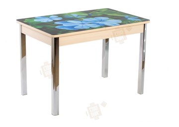 Кухонный стол раздвижной Айсберг-01 СТФ, дуб/фотопечать фиалка/ноги хром квадратные в Стерлитамаке