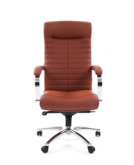 Компьютерное кресло CHAIRMAN 480 Экокожа Terra 111 (коричневая) в Салавате - изображение 1