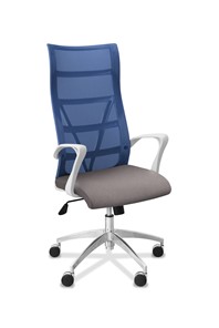 Офисное кресло для руководителя Топ X белый каркас, сетка/ткань TW / синяя/серая в Стерлитамаке - предосмотр