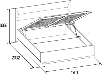 Кровать с механизмом двуспальная Neo 307 Люкс (1600) в Стерлитамаке - предосмотр 4