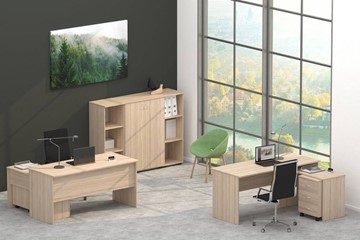 Офисный набор мебели Twin в Уфе - предосмотр 4
