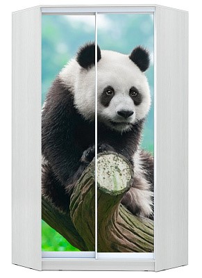 Угловой детский шкаф Хит-У-24-4-77-29, Панда, Белый в Уфе - изображение