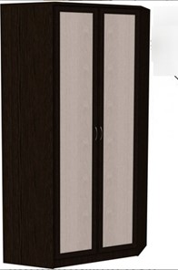 Шкаф 403 несимметричный, цвет Венге в Стерлитамаке - предосмотр