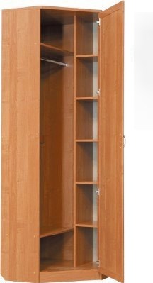 Шкаф распашной 402 угловой со штангой, цвет Дуб Сонома в Салавате - изображение 1