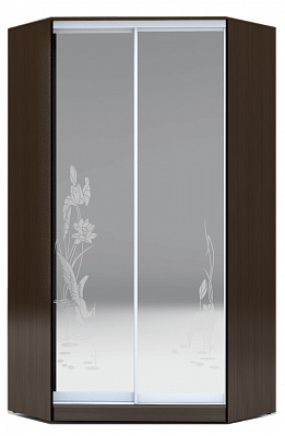 Угловой шкаф 2300х1103, ХИТ У-23-4-66-01, цапля, 2 зеркала, венге аруба в Стерлитамаке - изображение