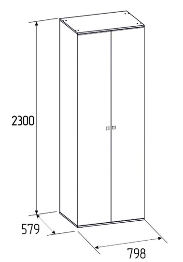 Шкаф двухстворчатый Neo 54, Фасад Стандарт + Стандарт в Уфе - изображение 2