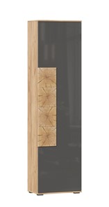 Шкаф одностворчатый Фиджи с декоративными накладками 659.300, Дуб Золотой/Антрацит в Салавате - предосмотр
