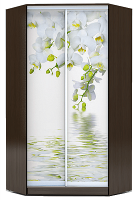 Угловой шкаф 2300х1103, ХИТ У-23-4-77-05, Белая орхидея, венге в Стерлитамаке - изображение