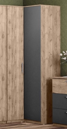 Распашной угловой шкаф Эконика в Стерлитамаке - изображение
