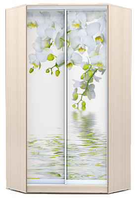 Шкаф 2300х1103, ХИТ У-23-4-77-05, Белая орхидея, дуб млечный в Стерлитамаке - изображение