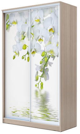 Шкаф 2-х створчатый 2400х1682х620, Белая Орхидея ХИТ 24-17-77-05 Ясень Шимо Светлый в Стерлитамаке - изображение