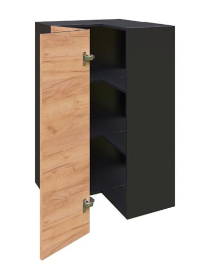 Шкаф кухонный угловой высокий Шервуд, ЛД 281.570.000.043, дуб золотой/черный в Стерлитамаке - изображение 1