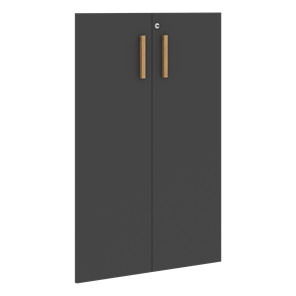Двери для шкафов средние с замком FORTA Черный Графит FMD 40-2(Z) (794х18х1164) в Стерлитамаке