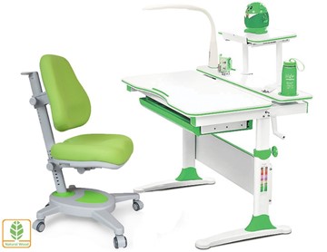 Растущая парта + стул Комплект Mealux EVO Evo-30 Z (арт. Evo-30 Z + Y-110 KZ), серый, зеленый в Уфе